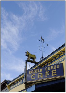 Colorado 44 Golden Burro  